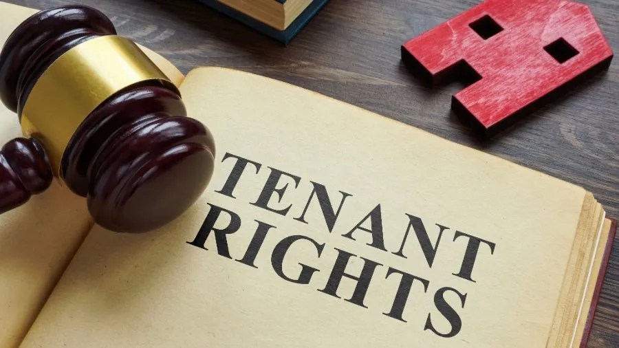 Understanding Tenant Rights In A Renter’s Market What Every Tenant