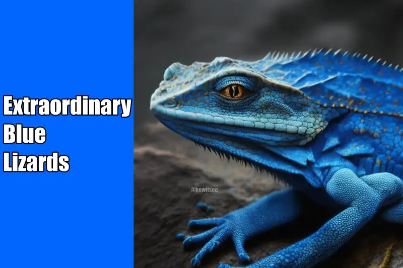16 Extraordinary Blue Lizards In The World