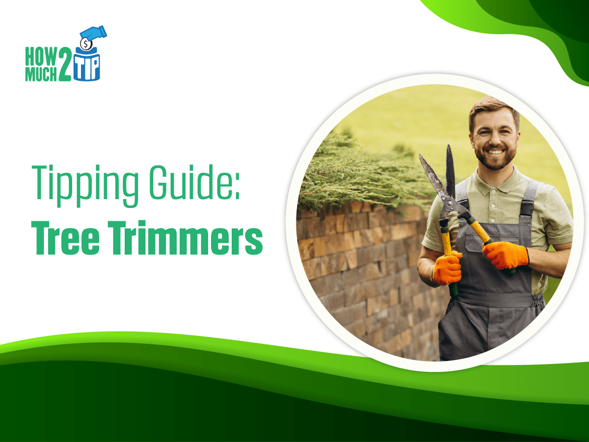 How Much to Tip the Tree Trimmers? Read This Blog Now!