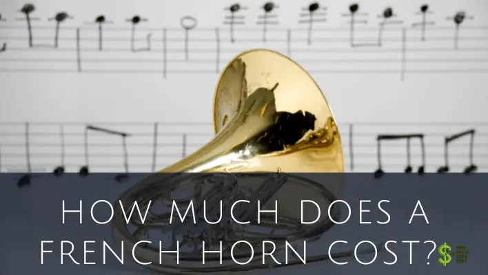 How Much Does a French Horn Cost?(In-Depth) - How much does cost?