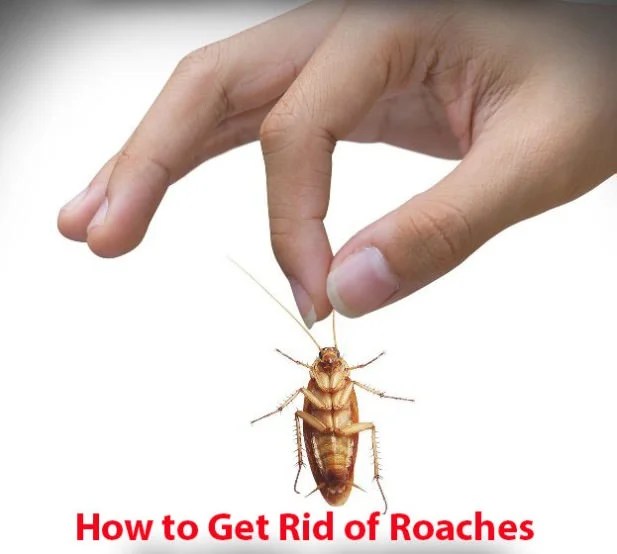 How To Get Small Roaches Out Of Car 5 Easy Ways to Remove Dents