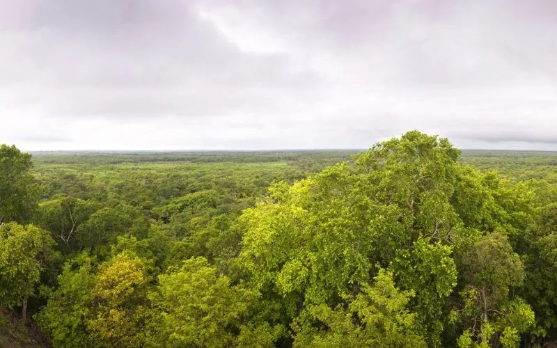 Is Yucatan, Mexico Safe? Unraveling Truth about Safety in Yucatan