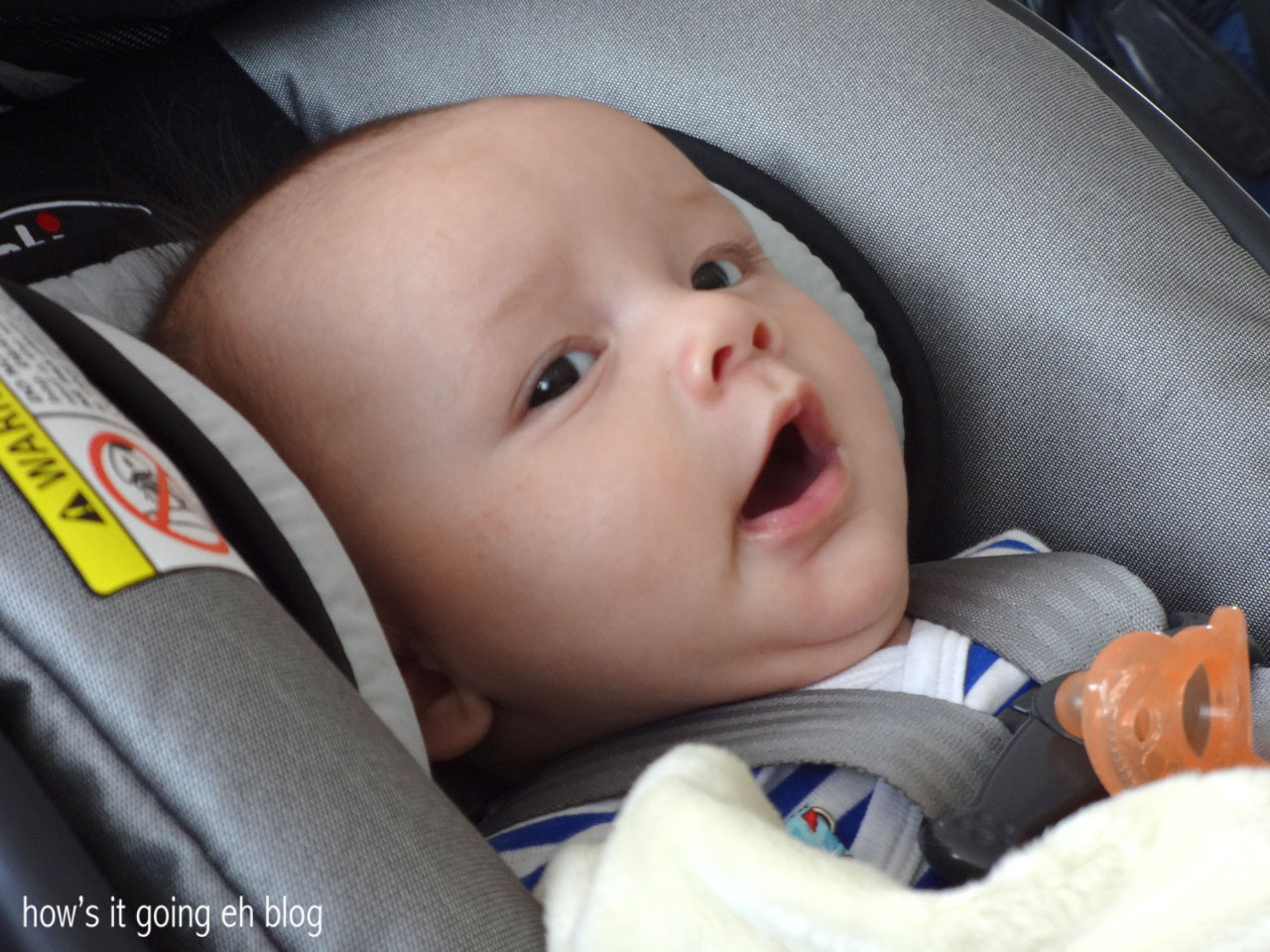 Angel Baby how's it going, eh?