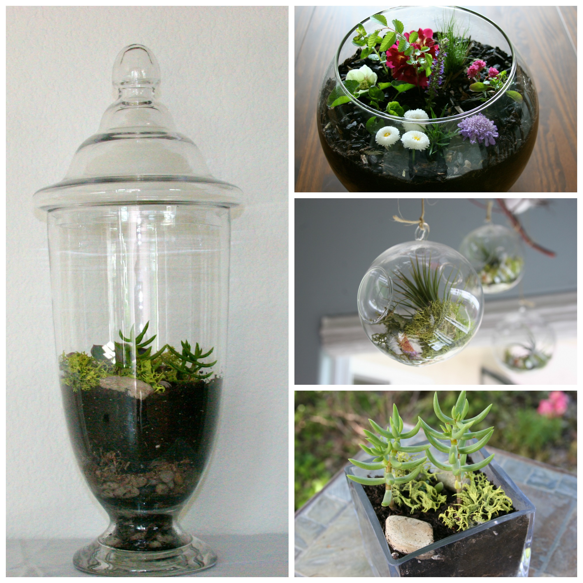 How to Create a Terrarium How Sweet This Is