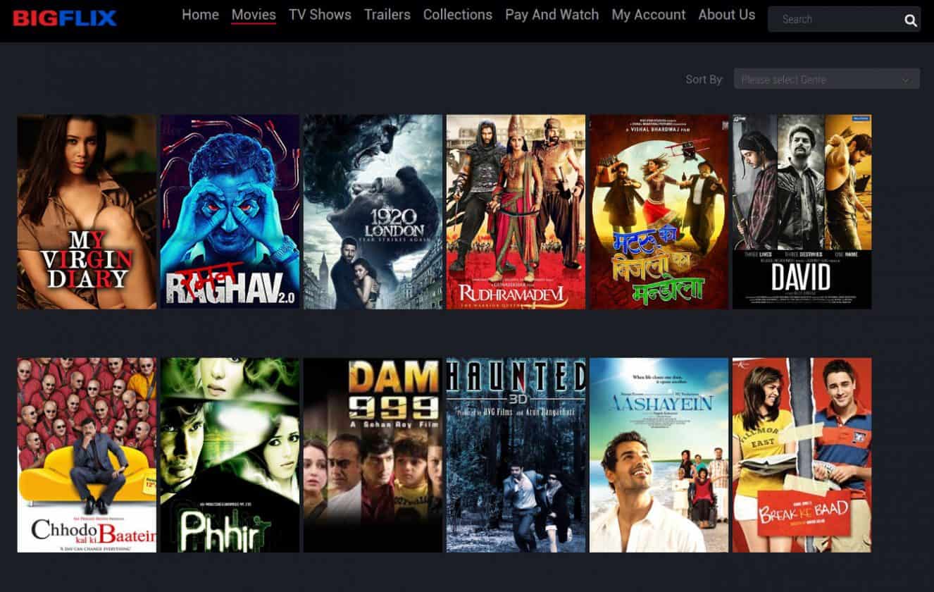 Einthusan Alternatives 10 Best Sites for Streaming TV Shows & Movies