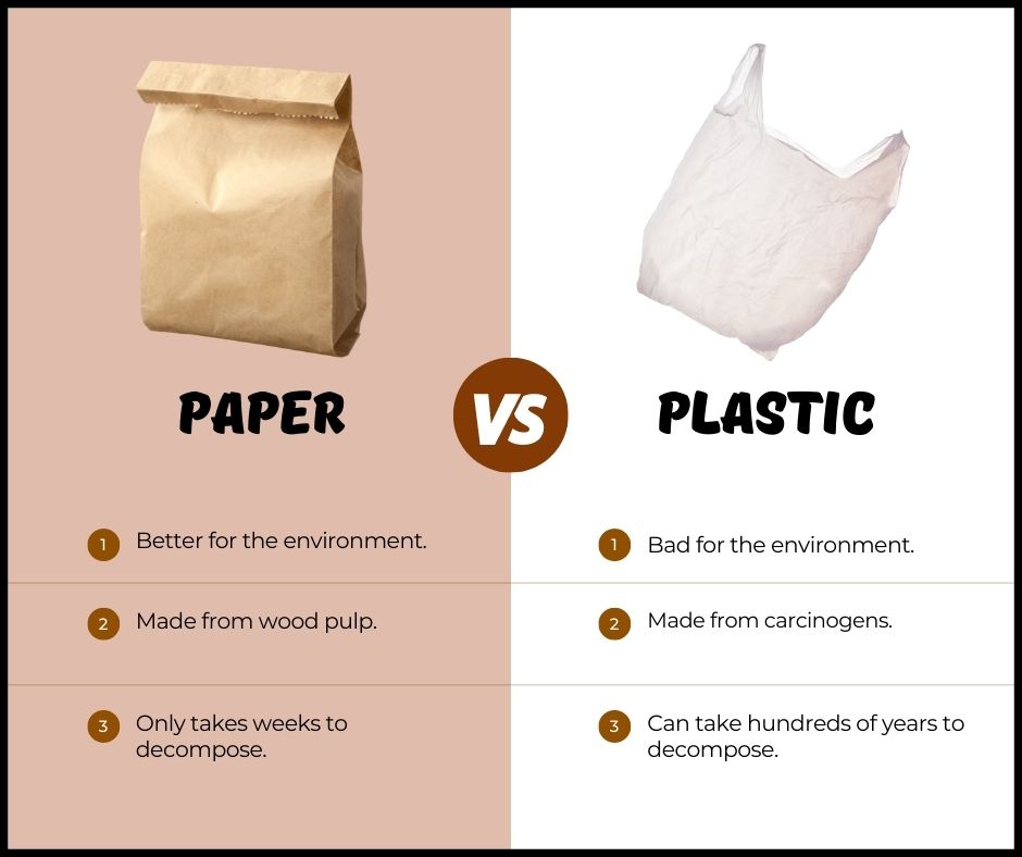 Advantages Of Using Paper Bags vs Plastic Bags