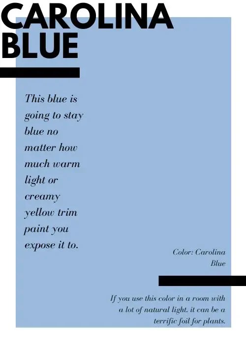 Powder Blue vs Carolina Blue Color Comparison Guide
