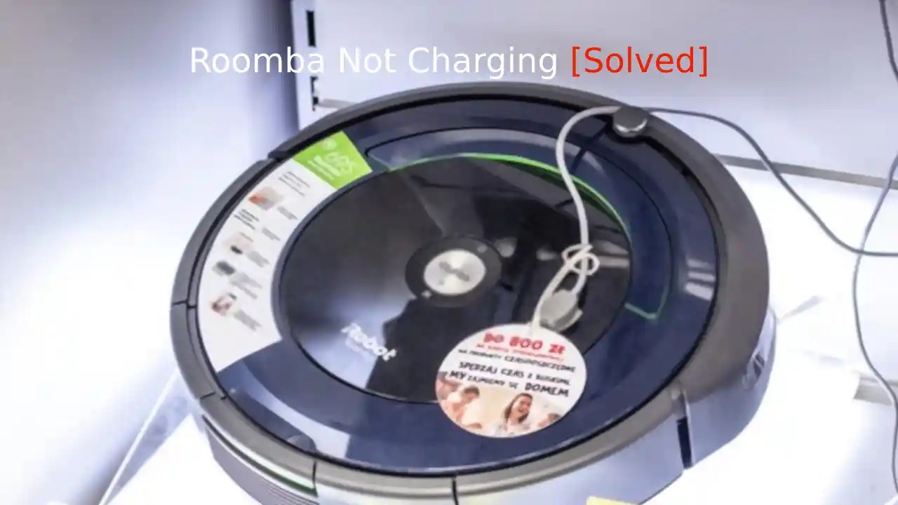 Why is Roomba Not Charging? HowTL