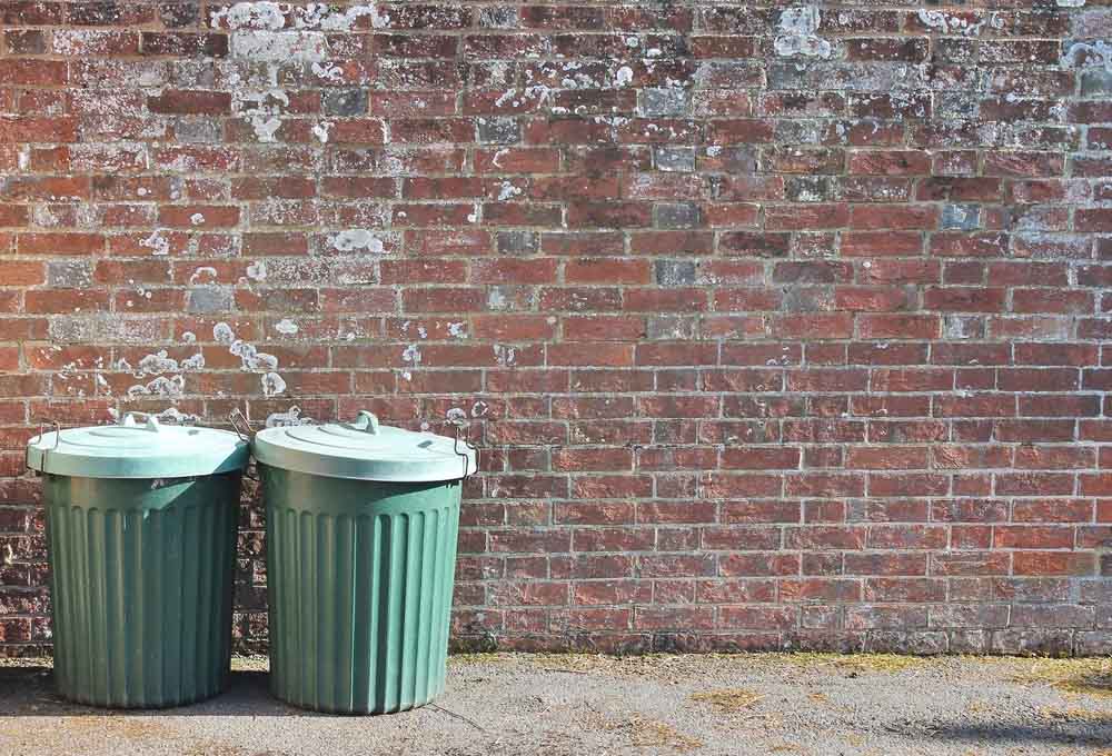 7 Eay Ways to Get Rid of Maggots in the Trash Can Howto