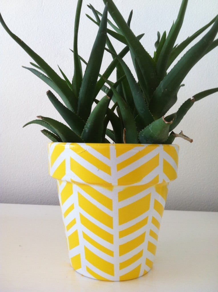 10 Ways to Make Over Your Terra Cotta Pots How To Build It