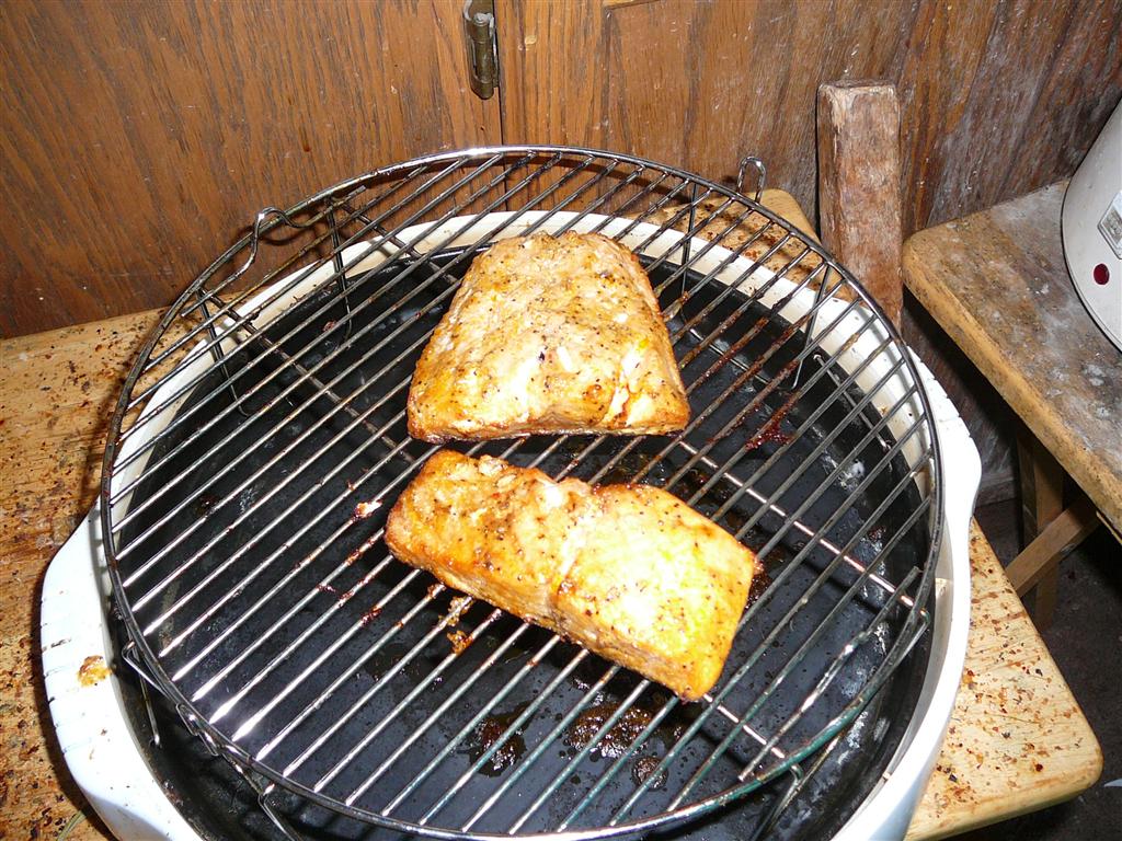 Baked Salmon In Nuwave Oven / Fish Recipes How To Catch Fish Easy
