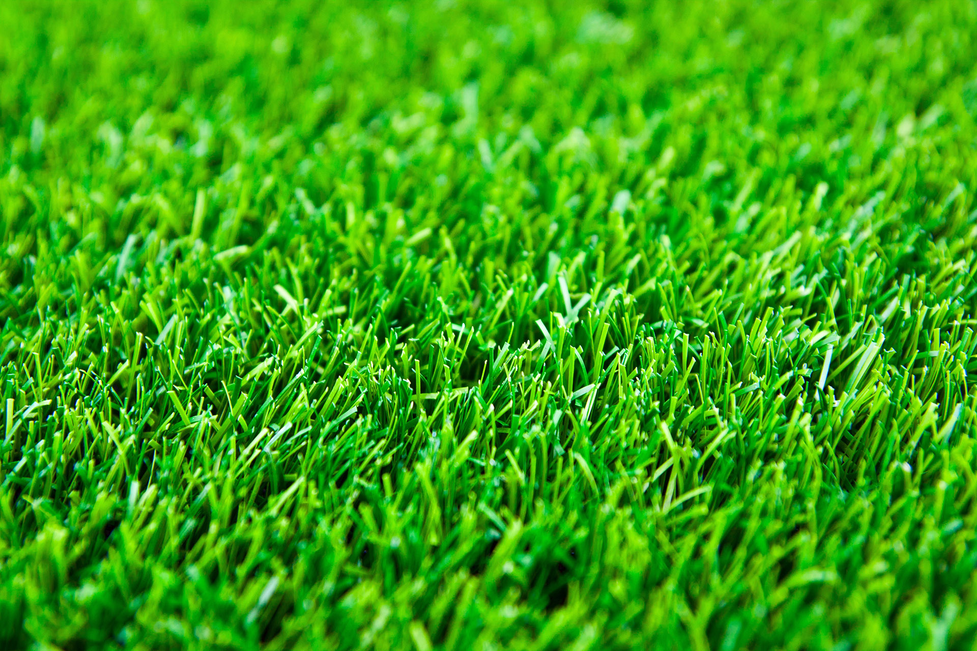 Home How to Clean Turf