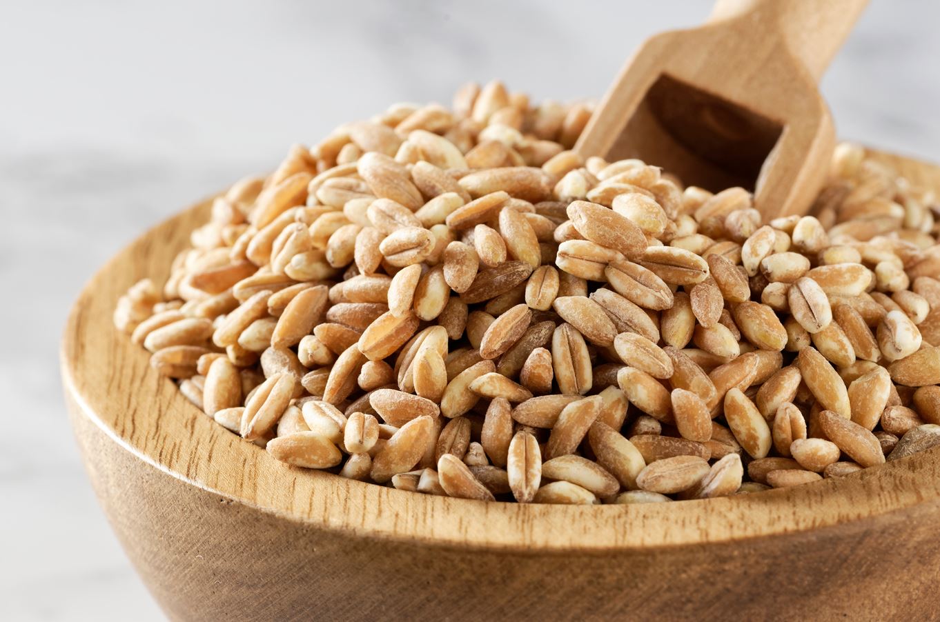 How To Cook Farro Simple & Easy To Do