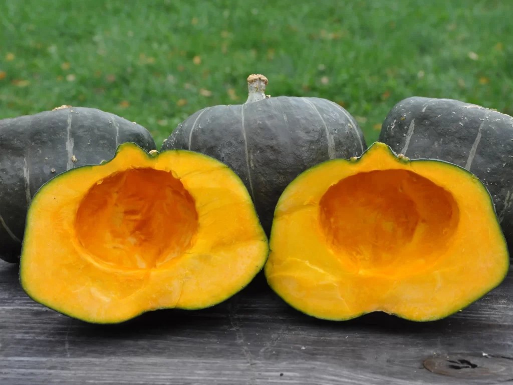How To Cook Buttercup Squash Simple & Easy To Do