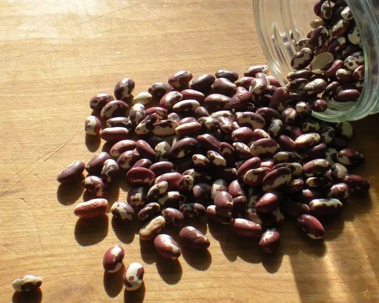 How To Cook Anasazi Beans Simple & Easy To Do