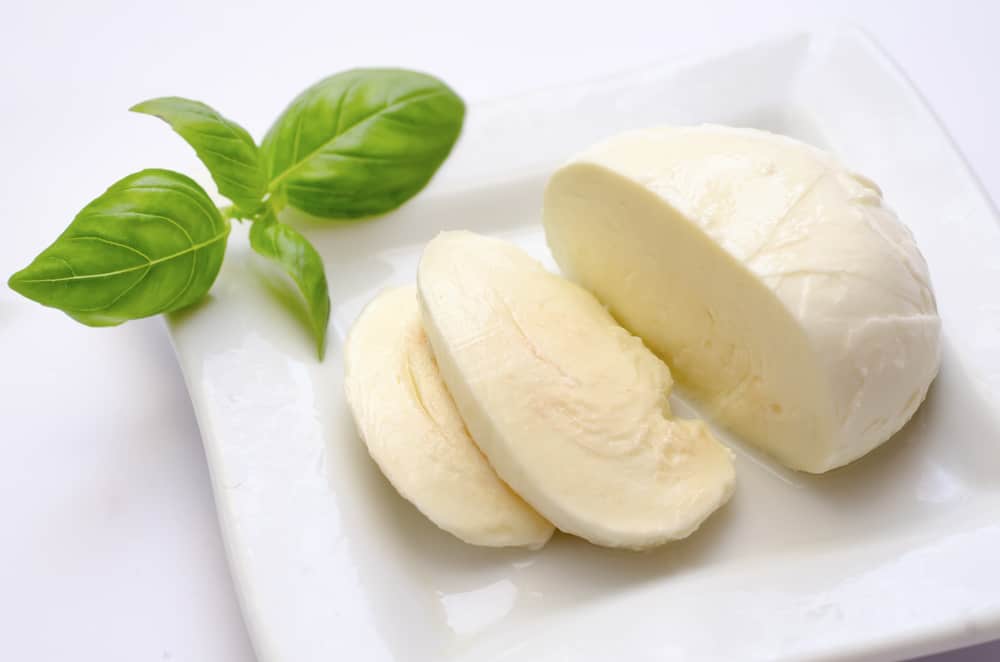 Mozzarella vs Provolone What’s the Difference?