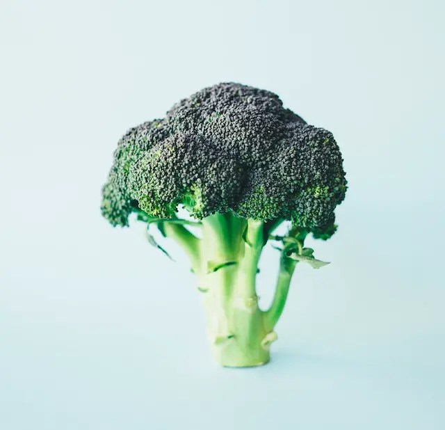 Here's What Happens If You Eat Too Much Broccoli