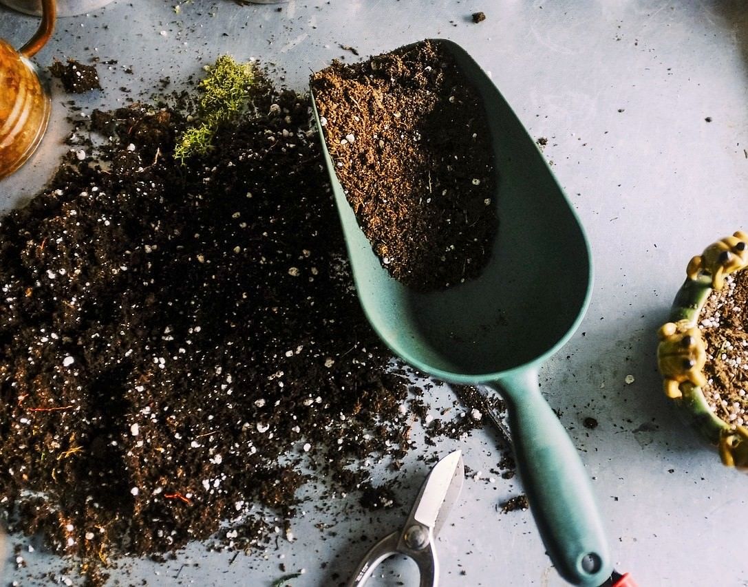 The Container Herb Garden 6 Easy Steps to Grow Healthy Herbs in Pots