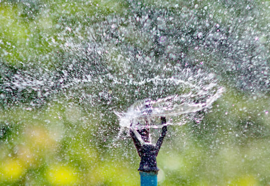 8 Automatic Plant Watering Systems To Make Herb Gardening Easier
