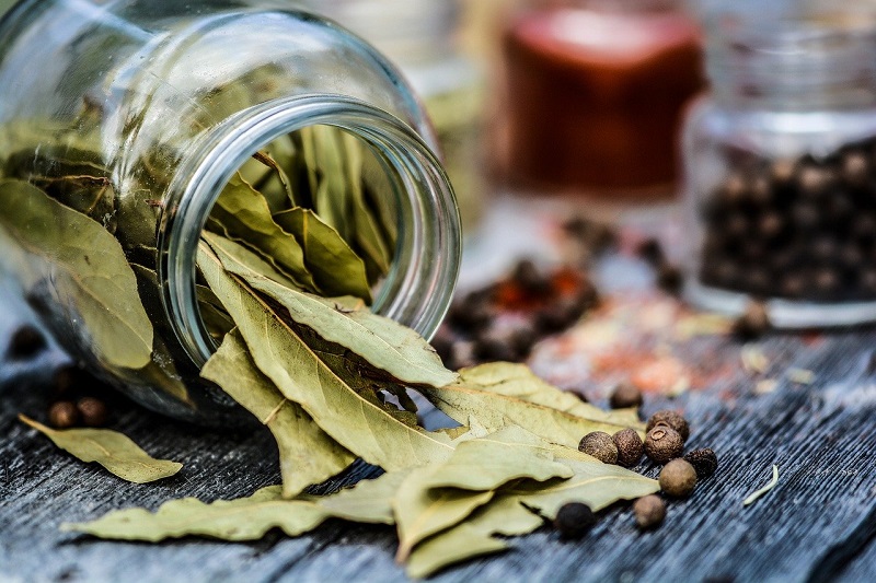 How to Harvest Bay Leaves for Cooking Plus Drying Tips & Recipe Ideas