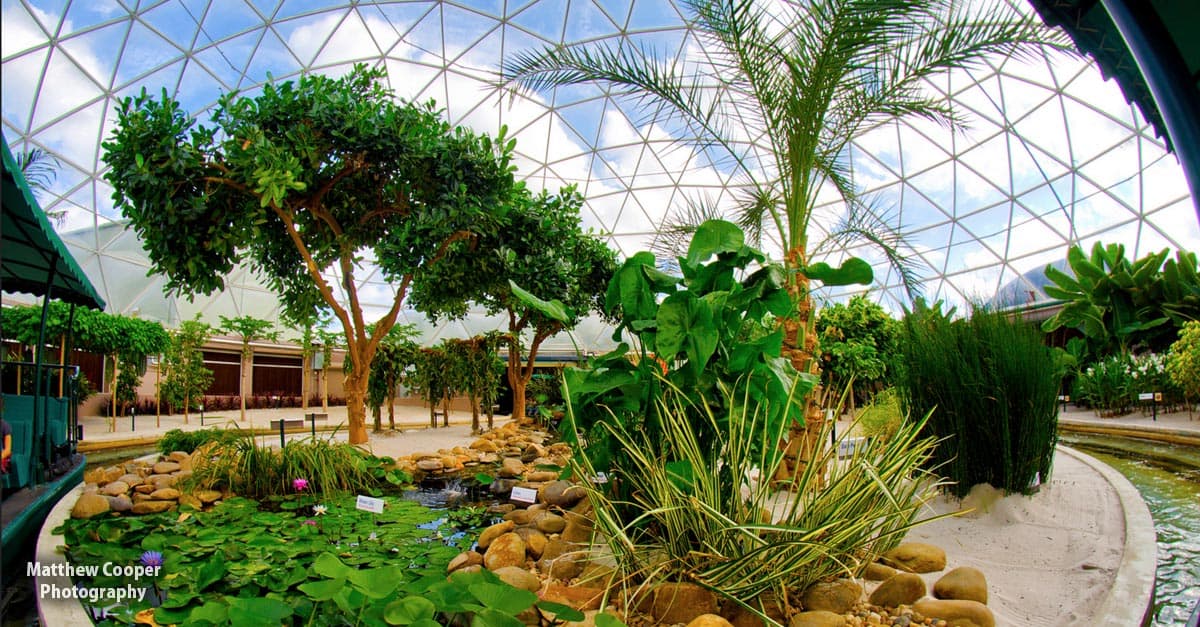 Epcot 101 15 Things You Should Know About Disney's Park Of The Future