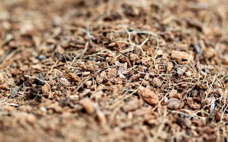 How to Dispose of Mulch? A Comprehensive Guide How to Dispose