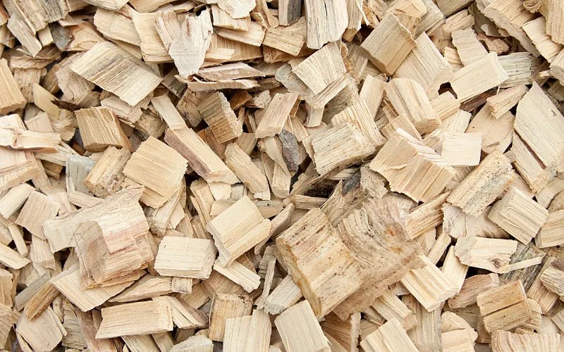 How to Dispose of Wood Chips? How to Dispose