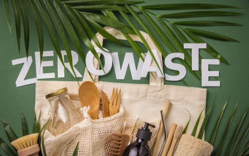 Zero Waste Practices Examples How to Dispose