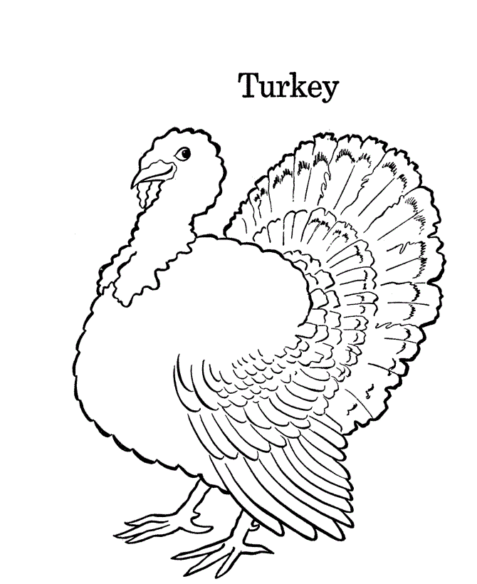 The Turkey Disguise Project for Kids Blank Turkey Templates How To