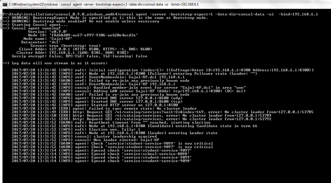 Consul Service Registration and Discovery Example