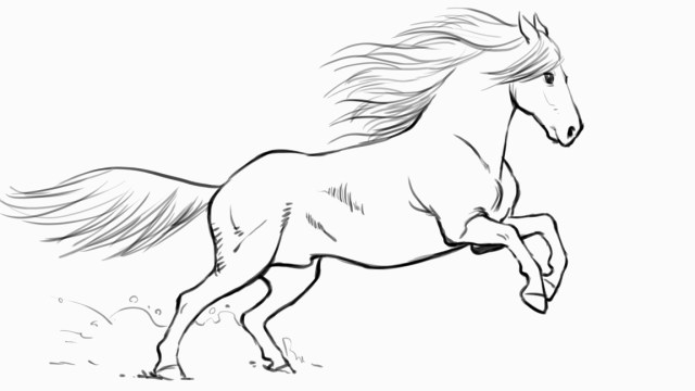 You'll then have ends that loop around the girth of the mustang from both directions. How to draw: the best drawing tutorial