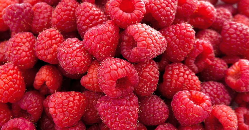 10 Facts About Raspberry Interesting Facts About This Fruit