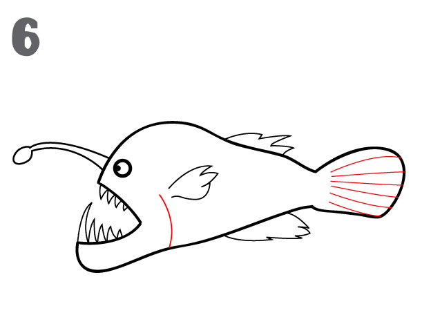 How To Draw an AnglerFish StepbyStep