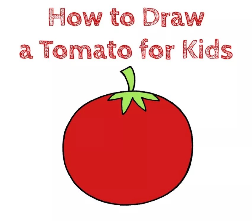 How to Draw a Tomato for Kids How to Draw Easy