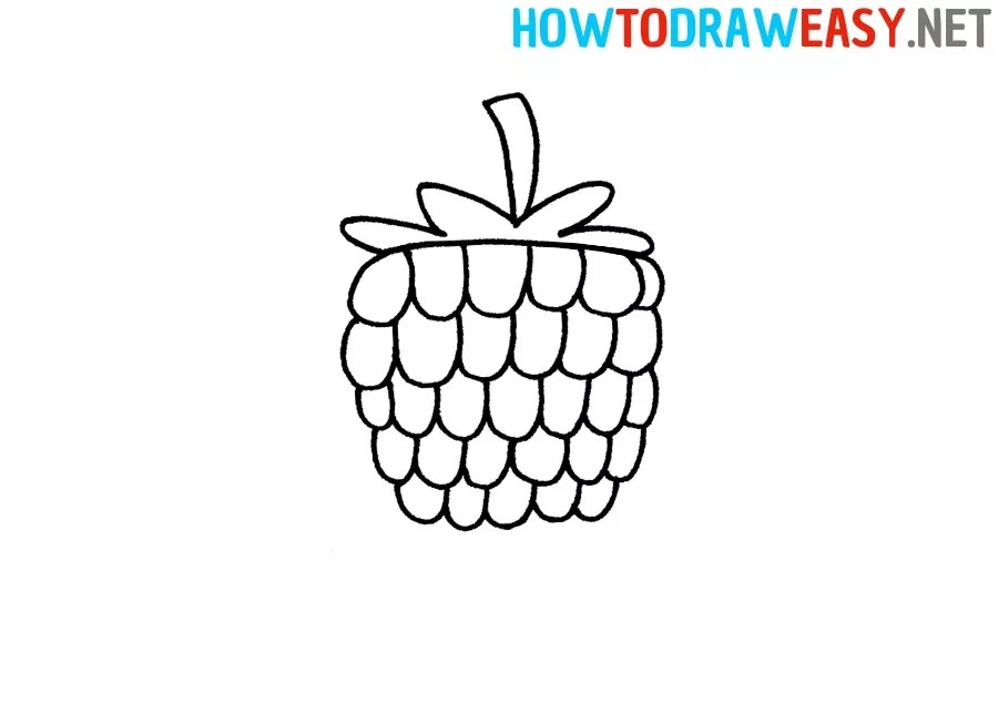 How to Draw a Raspberry for Kids How to Draw Easy