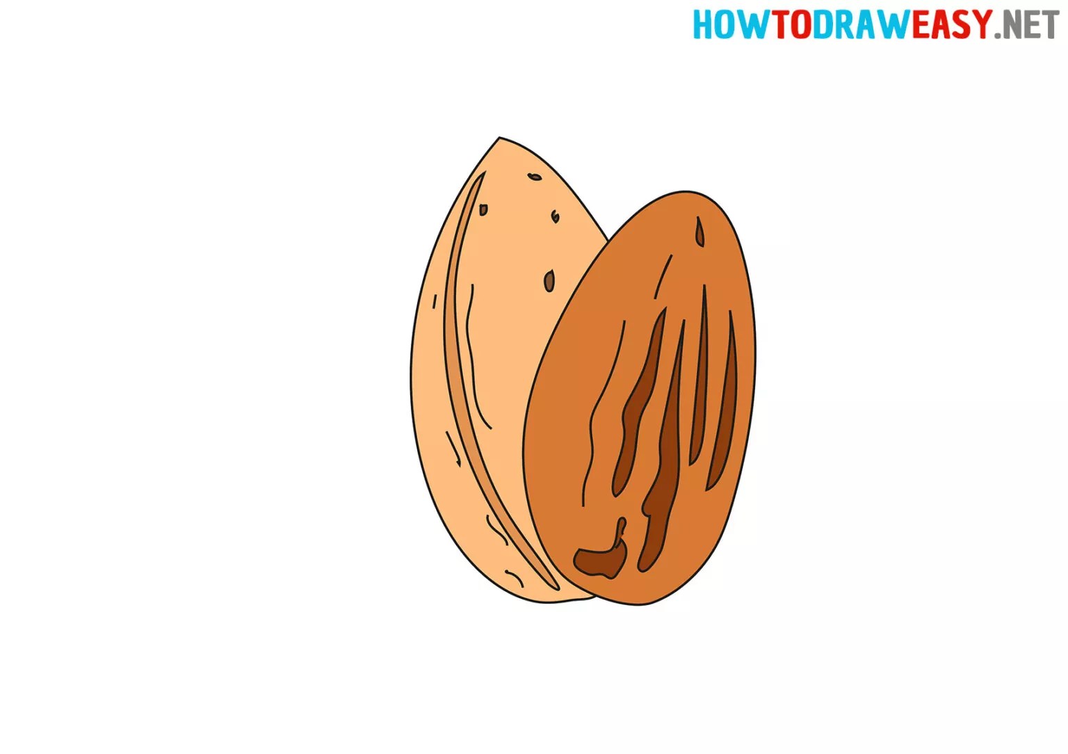 How to Draw an Almond How to Draw Easy