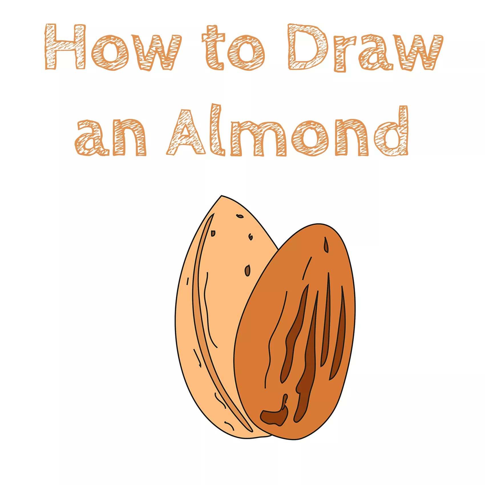 How To Draw An Almond WinteringhamFields
