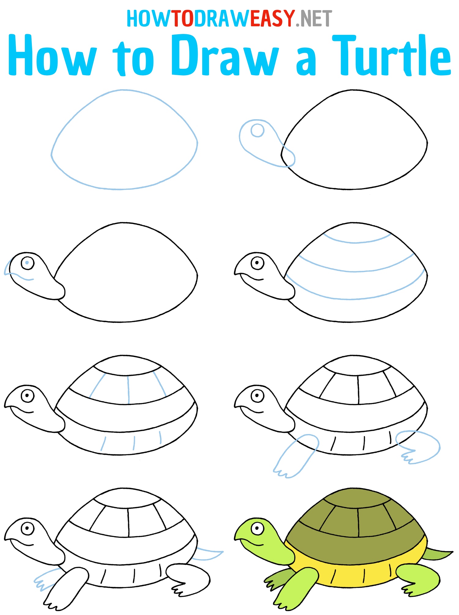 How to Draw a Turtle How to Draw Easy