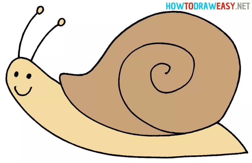 How to Draw a Snail Draw for Kids