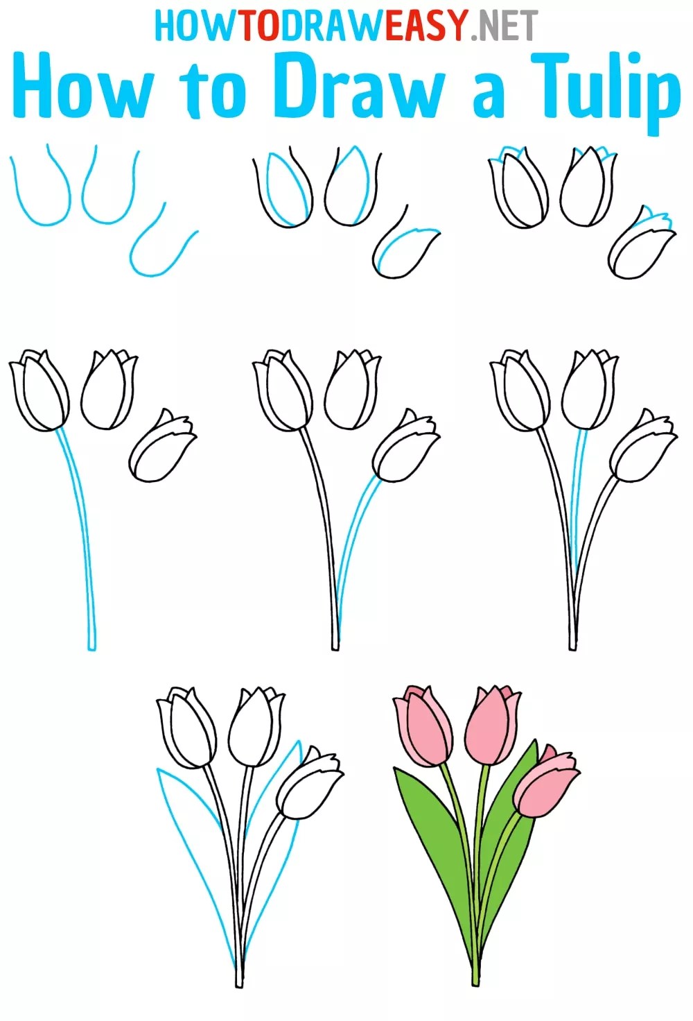 How to Draw Tulips Draw for Kids