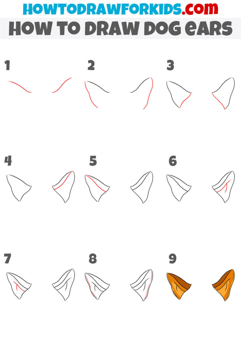 How to Draw Dog Ears Easy Drawing Tutorial For Kids
