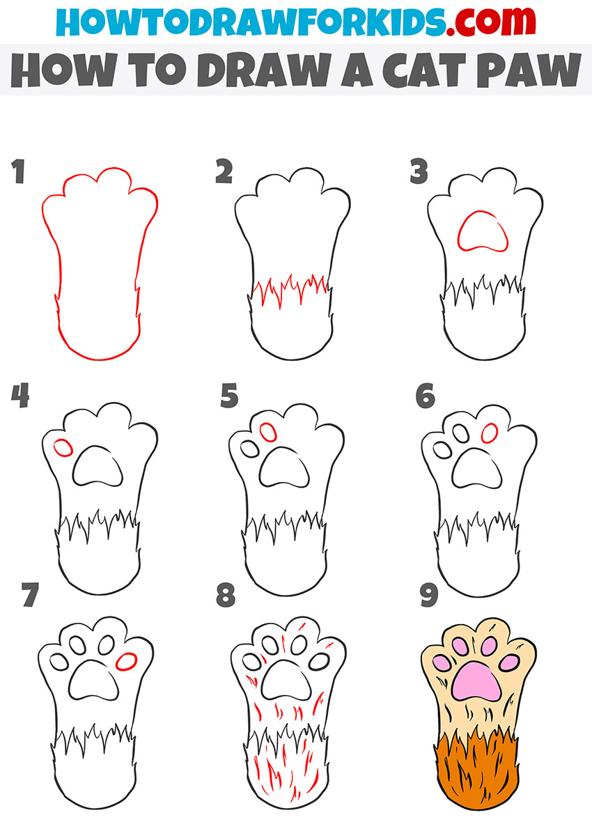 Learn How To Draw A Cat Paw Print Step By Step Free Printable Download