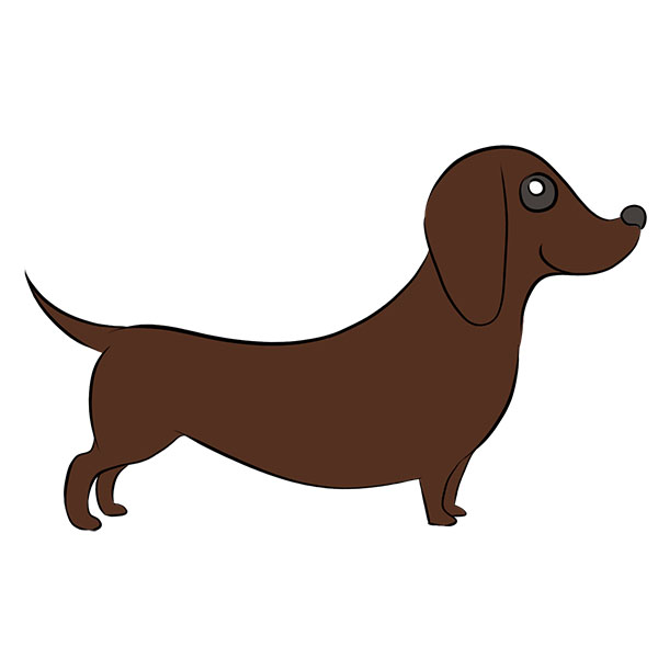 How to Draw a Dachshund Easy Drawing Tutorial For Kids