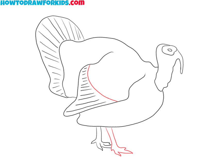 How to Draw a Realistic Turkey Easy Drawing Tutorial For Kids