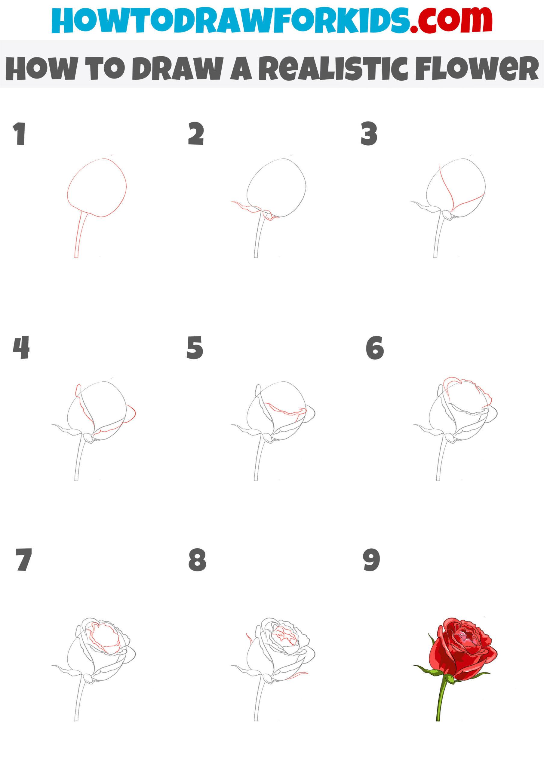 How To Draw A Perfect Flower Step By Step