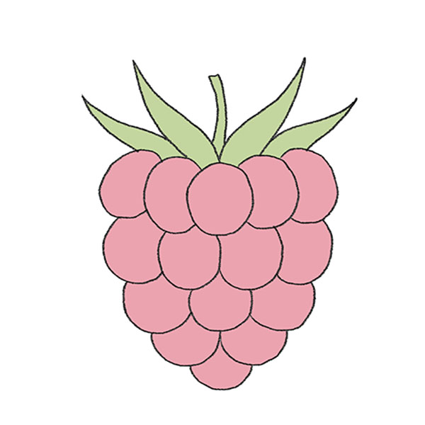 How to Draw a Raspberry Easy Drawing Tutorial For Kids