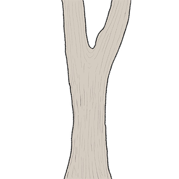 How to Draw a Tree Trunk Easy Drawing Tutorial For Kids