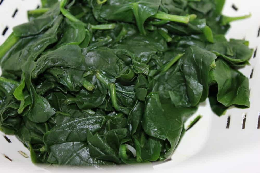 Fresh Spinach Pasta Homemade How To Feed A Loon