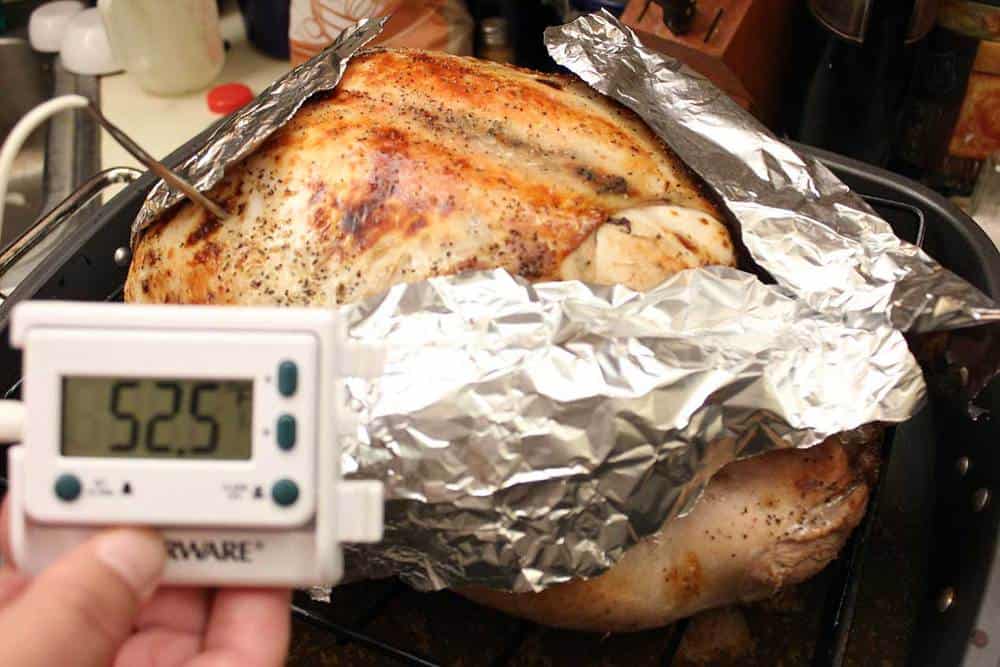 How to Prepare the Perfect Turkey How To Feed a Loon