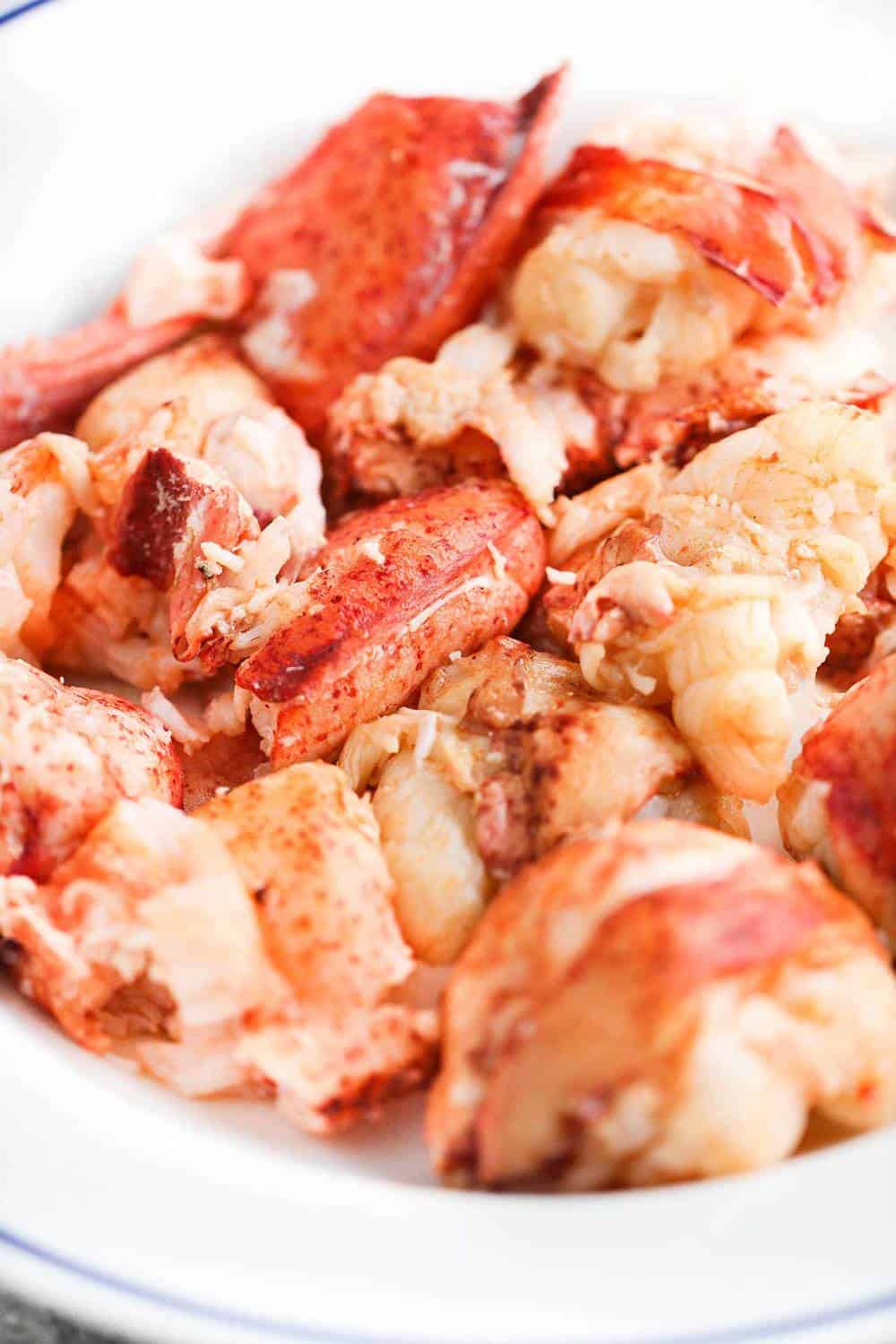 How To Make the BestEver Lobster Bisque How To Feed a Loon